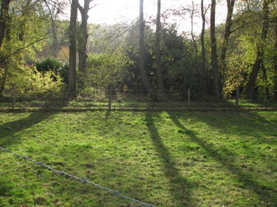 Randonne